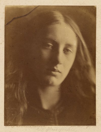 [スタディ・ヘッド・オブ・セント・ジョン］ 作： Julia Margaret Cameron