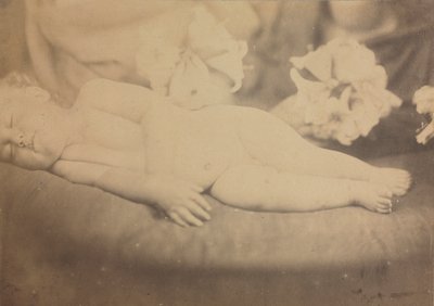 リリーとラム、c。 1865 作： Julia Margaret Cameron