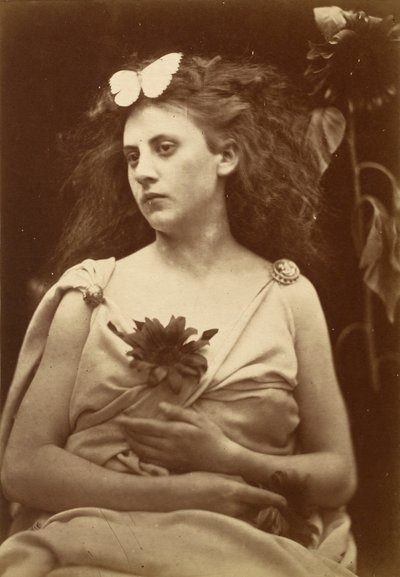 ひまわり 作： Julia Margaret Cameron