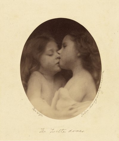 亀の鳩 作： Julia Margaret Cameron