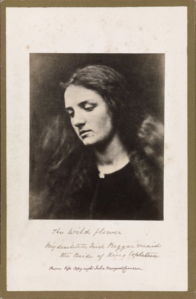 ザ・ワイルドフラワー 作： Julia Margaret Cameron