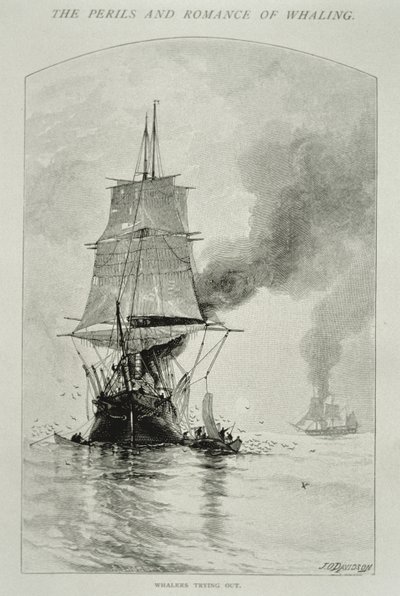 世紀誌1890年8月号の「The Perils and Romance of Whaling」に掲載された「Whalers Trying Out」（鯨を切り分けてその肉を船上に運ぶ）（エングレーヴィング 作： Julian Oliver Davidson