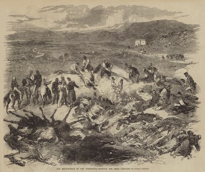 死者を葬るチェルナヤの戦場 作： Julian Portch
