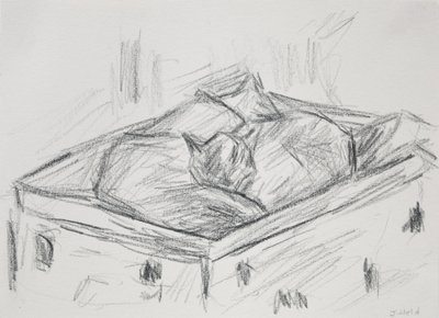 猫の巣作り、2015年（鉛筆） 作： Julie Held