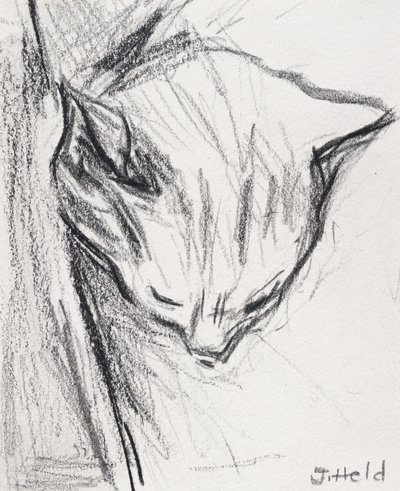スリーピングキャット、2015、（鉛筆） 作： Julie Held