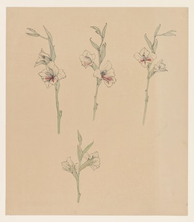 花学 作： Julie de Graag