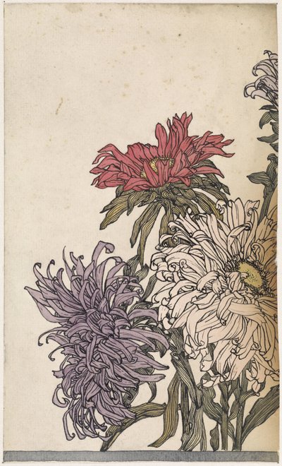 菊 作： Julie de Graag