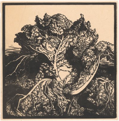 キャベツにナメクジ3匹 作： Julie de Graag