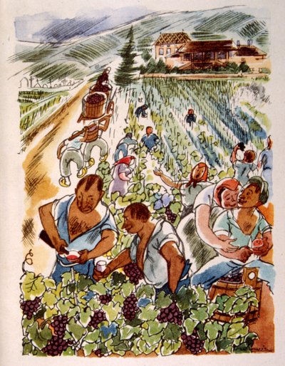 Vinhedo Francês. 1944. Ilustração de Julien Pavil 作： Julien Pavil