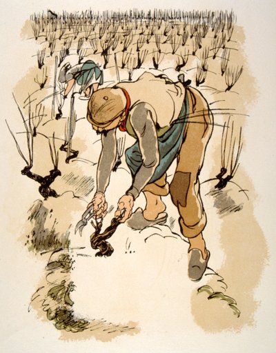 Humoristinen viinikuvitus 1946. Kuvitus Julien Pavil 作： Julien Pavil