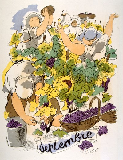ユーモラスなワインのイラスト 1946.Illustration by Julien Pavil 作： Julien Pavil