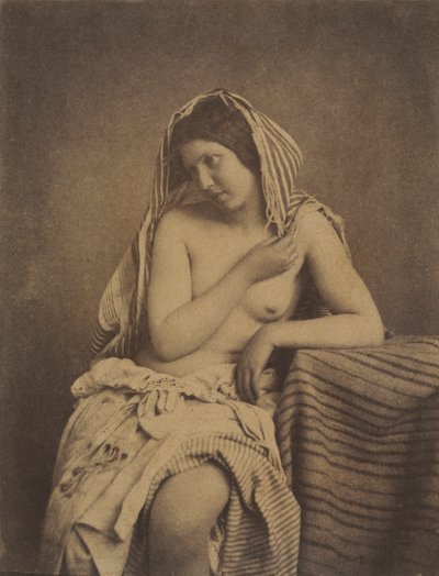 自然の後の研究、c。 1853-1855。 作： Julien Vallou de Villeneuve