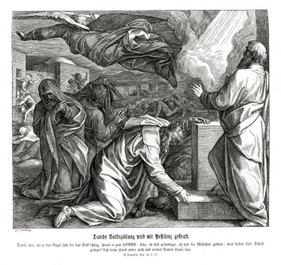 ダビデは民を数えることで罰せられる（第2サムエル記 作： Julius Schnorr von Carolsfeld