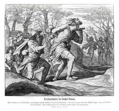 カナンの地へのスカウト、民数記 作： Julius Schnorr von Carolsfeld