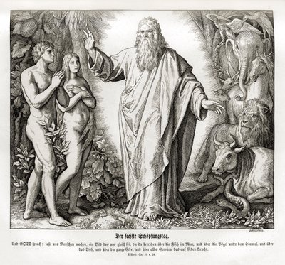 天地創造の第6日目、創世記 作： Julius Schnorr von Carolsfeld