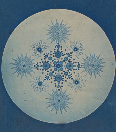 [珪藻類のフラストル」、1870年頃。 作： Julius Wiesner.