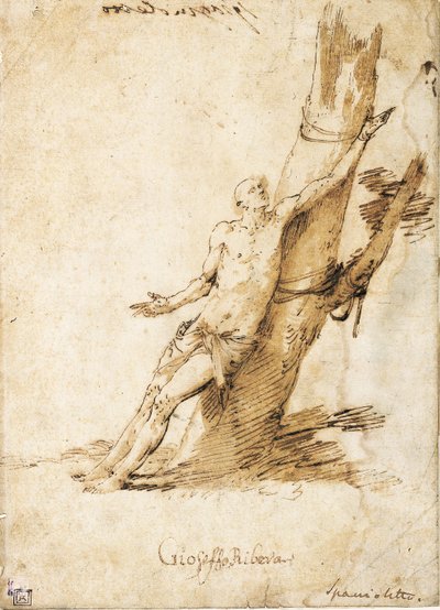 聖セバスチャンは木に縛られて右を見上げる 作： Jusepe de Ribera
