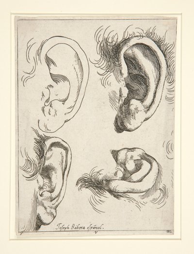 四耳研究 作： Jusepe de Ribera