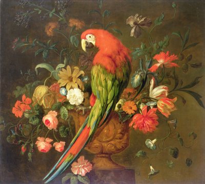花で彫刻された壷に腰掛けた緋色のコンゴウインコ（キャンバスに油彩） 作： Justus van Huysum
