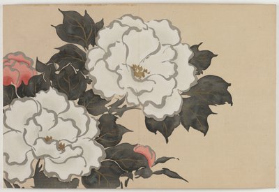 百世草（ももよぐさ）：牡丹（深見草） 作： Kamisaka Sekka