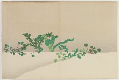 百世の花（ももよぐさ）：早春の七草（ななぐさ） 作： Kamisaka Sekka