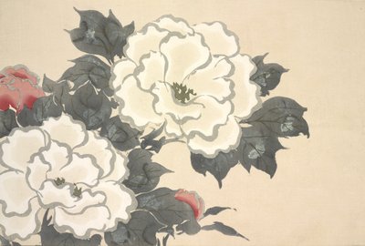 もみよぐさ 『深海グサ』（世界のモノ）第1巻、1909年（版木版） 作： Kamisaka Sekka
