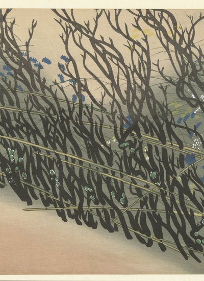 秋の花と生け垣 千の草（シリーズタイトル） ちぐさ（シリーズタイトル） 作： Kamisaka Sekka