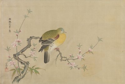 中国絵画模写アルバム 17世紀 作： Kanô Yôboku Tsunenobu