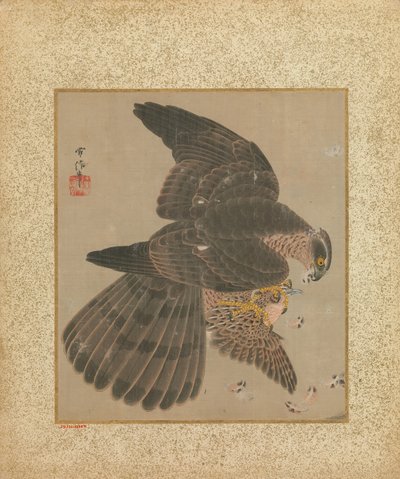 鷹匠と書のアルバム 17～18世紀 作： Kanô Yôboku Tsunenobu