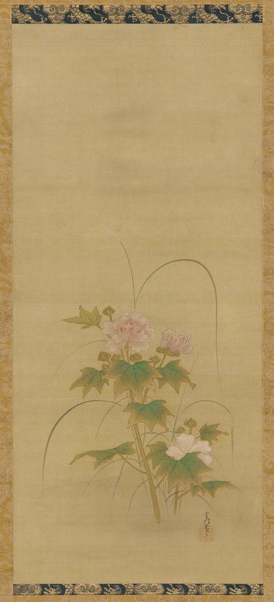 セットのハイビスカス 江戸時代 17世紀中頃～18世紀初頭 作： Kanô Yôboku Tsunenobu