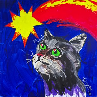 猫と彗星 作： Kanat Ibragimov