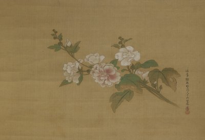 開花ハイビスカスの枝、江戸時代（絹の色） 作： Kano Tanyu