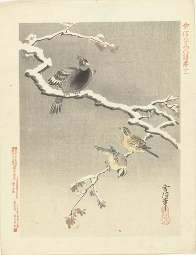 雪に覆われた枝に 3 羽の鳥 狩野常信 花鳥画（シリーズ名） 狩野常信課長画譜 作： Kano Tsunenobu