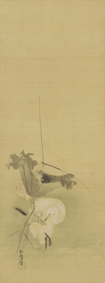 サギとハス、江戸時代、17世紀初頭から18世紀初頭（絹にインクと色） 作： Kano Tsunenobu
