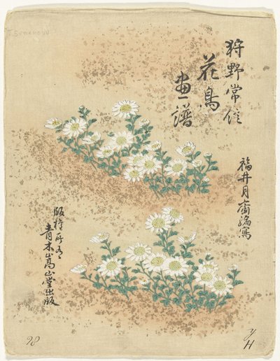索引 狩野常信 花鳥画（シリーズ名） 狩野常信課長画譜 作： Kano Tsunenobu