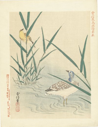 黄色い鳴き鳥を見つめる水鳥 狩野常信 花鳥画（シリーズ名） 狩野常信課長画譜 作： Kano Tsunenobu