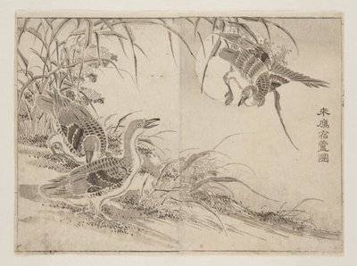 葦に棲む雁」（カラー木版画 作： Kanyosai Kanyosai