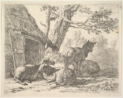 4頭の羊、1頭の羊が他の3頭の中に立って、1658の小屋の隣の地面に横たわっています。 作： Karel Du Jardin