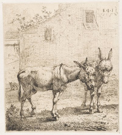2頭のロバ 動物（シリーズタイトル） 作： Karel Du Jardin