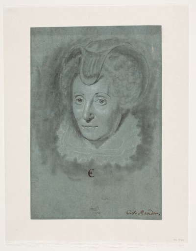 レディの肖像画。 ルイーズ・ド・コリニー。 作： Karel van III Mander