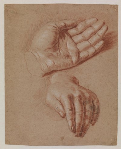 両手の研究。 作： Karel van III Mander