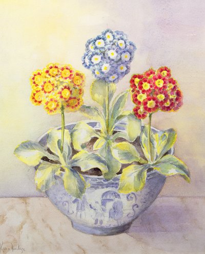 中華鍋の耳介 作： Karen Armitage