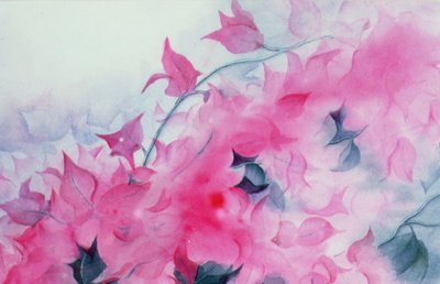 ブーゲンビリア 作： Karen Armitage