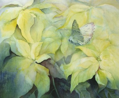 蝶とクリームのポインセチア 作： Karen Armitage