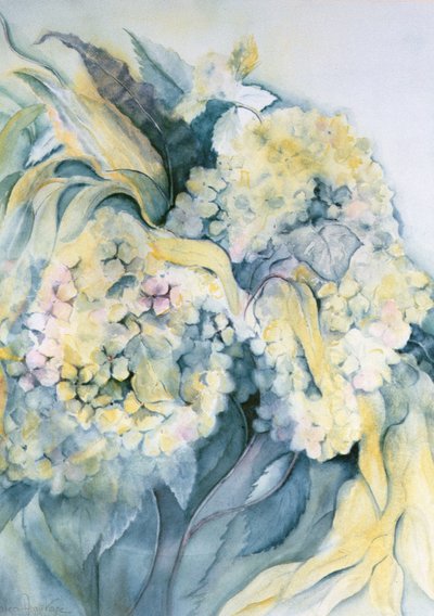 アジサイパーティキュラータ 作： Karen Armitage