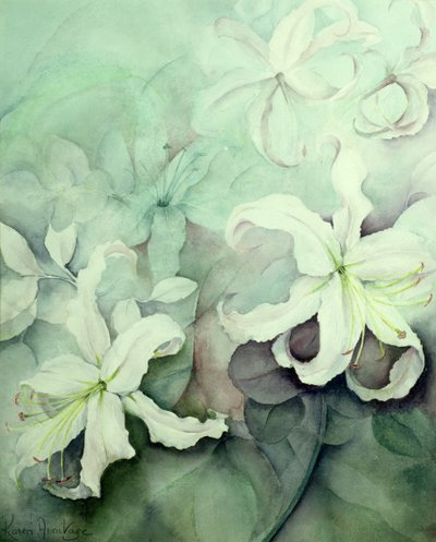 ユリ、白いFRCPE 作： Karen Armitage