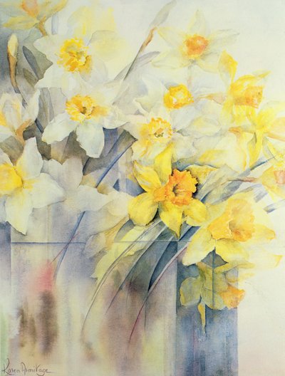 タンク内の混合水仙 作： Karen Armitage