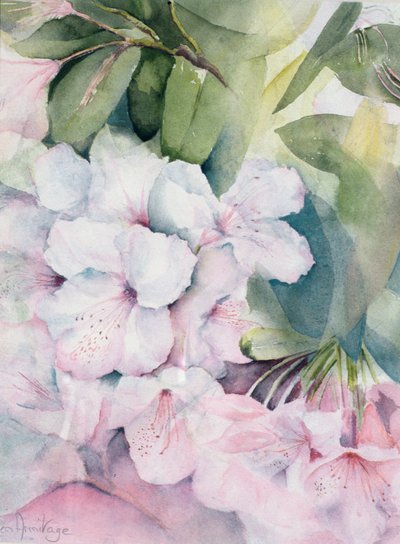 モーニングマジック 作： Karen Armitage