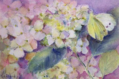 淡い曇った黄色の蝶、アジサイのコリアスハイエール 作： Karen Armitage