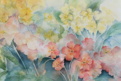 ポリアンサス、混合ハイブリッド 作： Karen Armitage